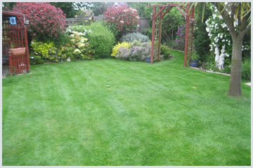 Gardening services and lawn care