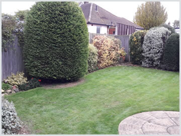 Garden services and lawn mowing