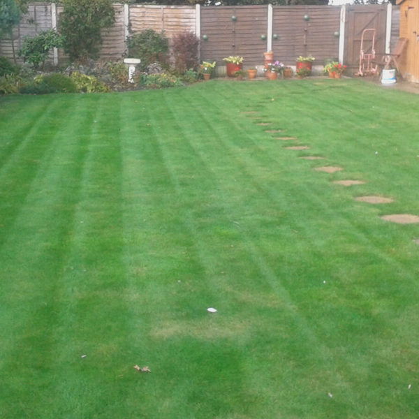 Lawn mowing